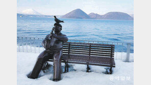 [고양이 눈]나만의 무대