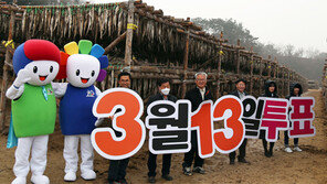 조합장선거 위법행위 강원도내서 40건 적발