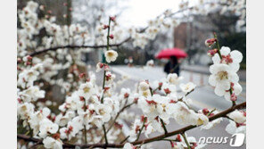 [날씨] 비 온 뒤 꽃샘추위…12일 전국 흐리고 미세먼지 ‘보통’