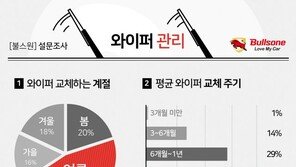 車와이퍼는 여름에만 교체? 미세먼지 심한 봄에 교체해야
