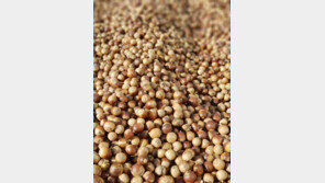 일상이 돼버린 미세먼지… 아이에게 무엇을 먹이면 좋을까?