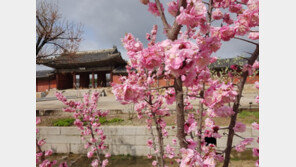 봄꽃놀이 오세요, 궁·종묘·왕릉으로