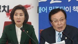 나경원 ‘국가원수 모독죄’ 로 처분?…1988년 없어진 법