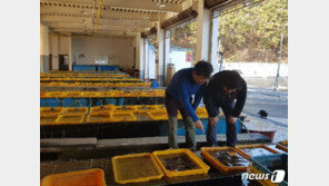 귀어귀촌 전문가 ‘귀어닥터’…14일부터 1:1 자문 서비스