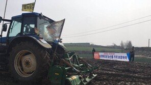 “정부, 채소값 폭락 대책 수립” 촉구…밭 갈아엎기 투쟁