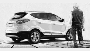 고령 보행자 사고 다발지역 1860곳에 횡단보도·중앙분리대 마련