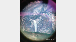 [고양이 눈]몸 푸는 중