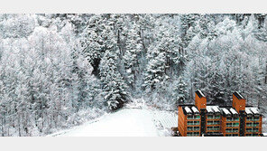 봄 시샘하는 눈… 13일 서울 아침 영하 ‘꽃샘추위’