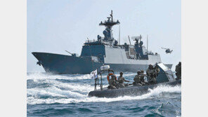 아덴만의 평화수호 10년… 해외서도 엄지 척