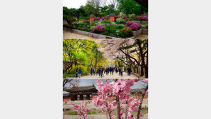 울긋불긋 꽃대궐서 두근두근 봄마중