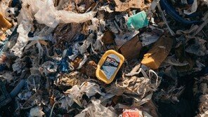 “필리핀서 되돌아온 쓰레기는 제주도 것…道 사과해야”