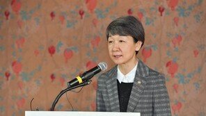 DMZ 내 문화재 샅샅이 찾는다…남북 교류 확대