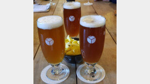 맥주에 발효된 신김치 넣어 마신다고?…실제 그렇게 마셔보니