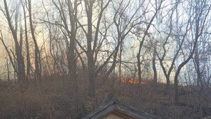 고양시 덕은동 공장 불 →산불로 번져…강풍 타고 확산 “장난 아냐”