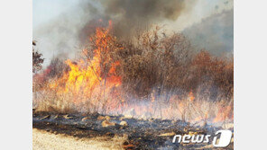 강화군 해병대 사격장 화재…임야 50ha 소실