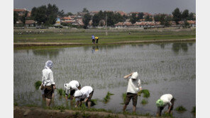 FAO, 북한을 식량부족국가로 재지정