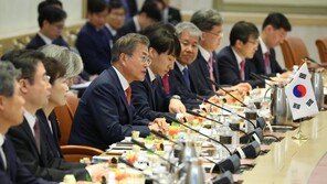 文대통령 “한반도 평화 지지 감사”…말레이 총리 “양자 관계 강화 기대”