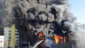 북한산 산불 거의 잡혀…대조동 주택전시장 화재 불씨 추정