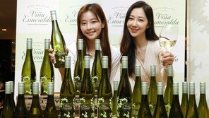 롯데百, 스페인 ‘토레스’ 화이트와인 1800병 한정 판매
