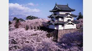 동남아→일본, 대도시→소도시 여행객 북적