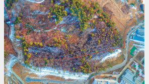 [화제의 분양현장]대명리조트, 5% 할인혜택 정회원권 분양 外