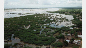 모잠비크 66명 말라위 45명 등 폭우로 최소 115명 사망