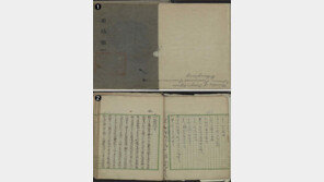 “무장해제 당한 한민족, 민족의식으로 갑옷과 무기 삼았다”