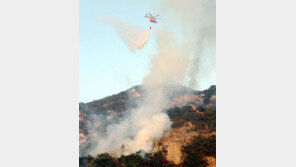 서울 은평구 모델하우스 화재, 북한산으로 번져
