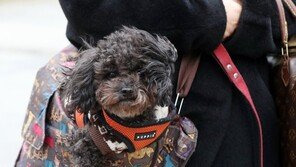 [날씨]14일 아침까지 꽃샘추위…서울 체감 영하 5도