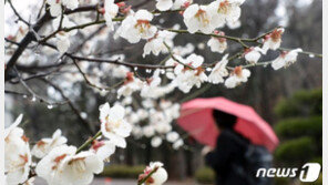 [날씨] 15일 꽃샘추위 한풀 꺾여…미세먼지도 ‘좋음’