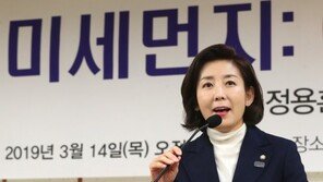 나경원 “문정인 ‘남탓정신’ 발휘…정부·北, 국민 속여”
