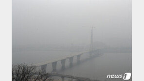 “대기오염으로 연간 880만명 조기사망…수명 2.2년 단축”