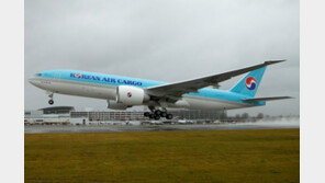 대한항공 “보잉 737 맥스8 안전 확보 전까지 운항 안해”