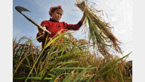 中 ‘한 자녀 정책’ 후유증 …“독거여성 극단적 선택 급증”