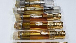 [청계천 옆 사진관]초콜릿·쿠키 등 수법도 다양…북미 대마 밀반입 급증