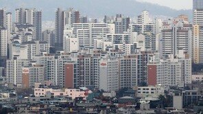 [공동주택 공시가]전문가 “다주택자 진퇴양난…거래절벽 이어질것”