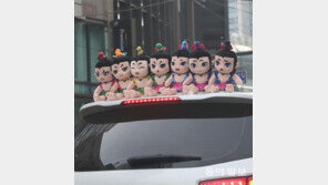 [고양이 눈]당신의 오늘 표정은?