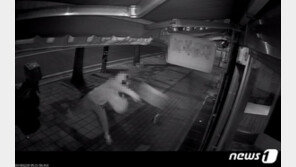 벽돌 3번 집어던졌는데도…금은방 강화유리 덕에 ‘무사’