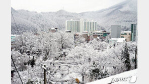 강원 태백·중남부산지 대설 예비특보…적설 최대 10㎝