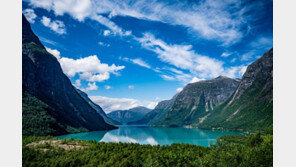 미세먼지 짙어지자…청정국가 항공권 검색량 230%↑