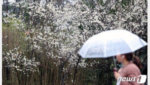 서울 퇴근길에 비…중부지방, 천둥번개·우박 가능