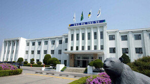 강원도 외국인 전용 관광택시 출범