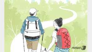 “고사리에 홀려 길 잃지 마세요”…제주 안전사고 주의보