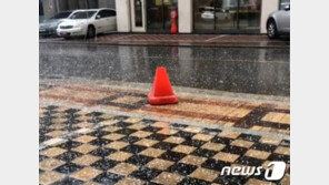 ‘대기 불안정’ 광주서 1.6㎝ 정도 우박…올해 첫 관측