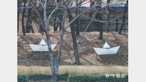 [고양이 눈]사공이 많으면…