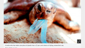 유엔, 2030년까지 일회용 플라스틱 상당량 감축 합의