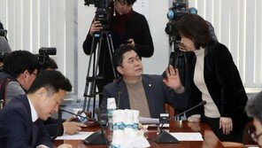 선거제 개편 최종안 나올까…여야 4당 17일 마무리 협상 돌입