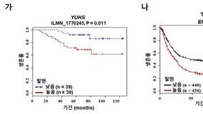 국내 연구진, ‘전이성 위암’ 핵심인자 찾았다…새 치료법 제시