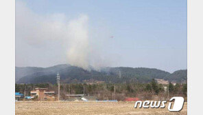 속초 도문동서 예초기 원인 추정 산불…1명 화상