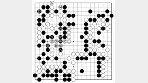 [바둑]프로 톱5 vs 한돌 특별대국… “어디가 나빴을까”